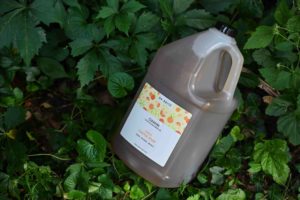 Dr Brite Sustainable Castile Soap on Leaves
